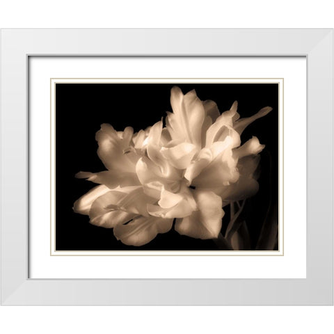 Double Dappled I White Modern Wood Framed Art Print with Double Matting by Britt, Charles
