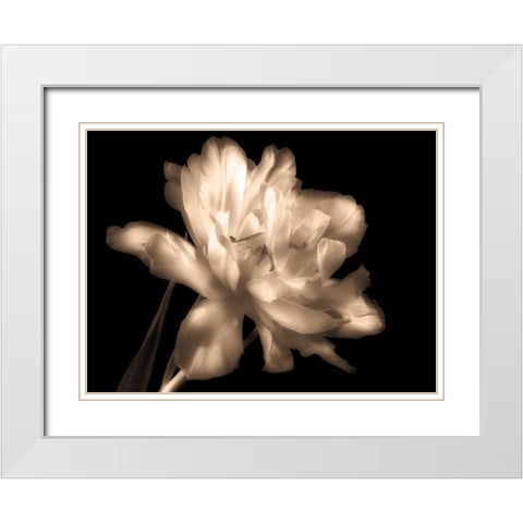 Double Dappled II White Modern Wood Framed Art Print with Double Matting by Britt, Charles