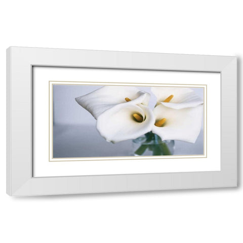 Springplicity II White Modern Wood Framed Art Print with Double Matting by Ryan, Cinzia