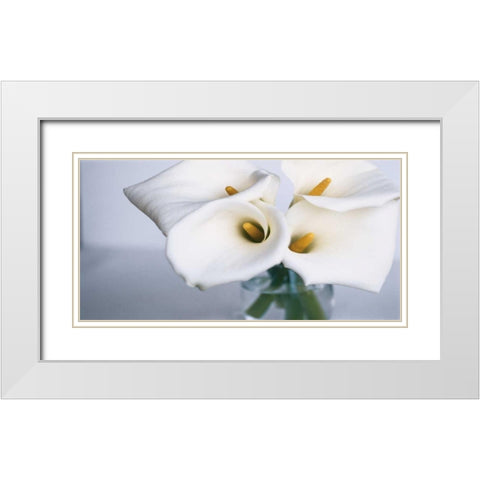 Springplicity II White Modern Wood Framed Art Print with Double Matting by Ryan, Cinzia
