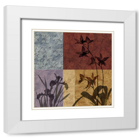 Floral and Still Life Refrain II White Modern Wood Framed Art Print with Double Matting by Mallett, Keith