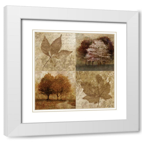 Arcadian Grove I White Modern Wood Framed Art Print with Double Matting by Mallett, Keith