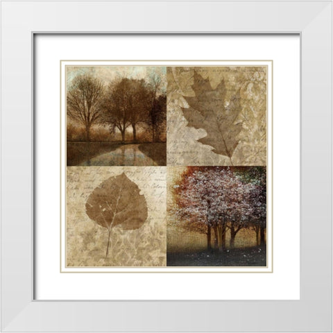 Arcadian Grove II White Modern Wood Framed Art Print with Double Matting by Mallett, Keith