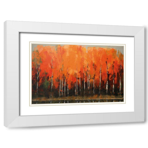 Birch Shoreline White Modern Wood Framed Art Print with Double Matting by Colbert , Peter