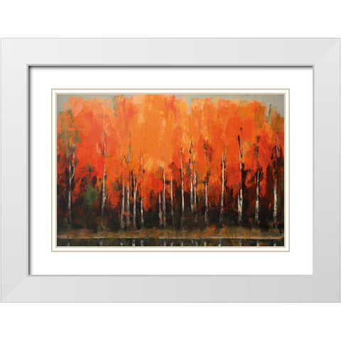 Birch Shoreline White Modern Wood Framed Art Print with Double Matting by Colbert , Peter