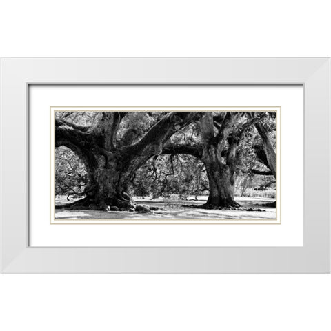 Majestic Oaks II White Modern Wood Framed Art Print with Double Matting by Maihara, Jeff