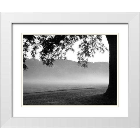 Fog in the Park I White Modern Wood Framed Art Print with Double Matting by Bydlo, Gary