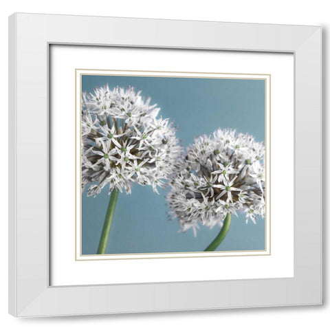 Bliss II White Modern Wood Framed Art Print with Double Matting by Frank, Assaf