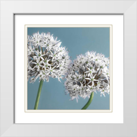 Bliss II White Modern Wood Framed Art Print with Double Matting by Frank, Assaf