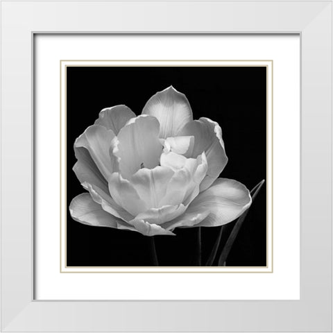 Summers Comfort White Modern Wood Framed Art Print with Double Matting by Britt, Charles