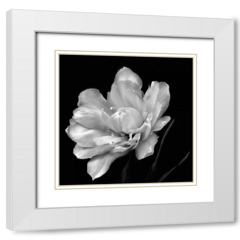 Summers Surprise White Modern Wood Framed Art Print with Double Matting by Britt, Charles