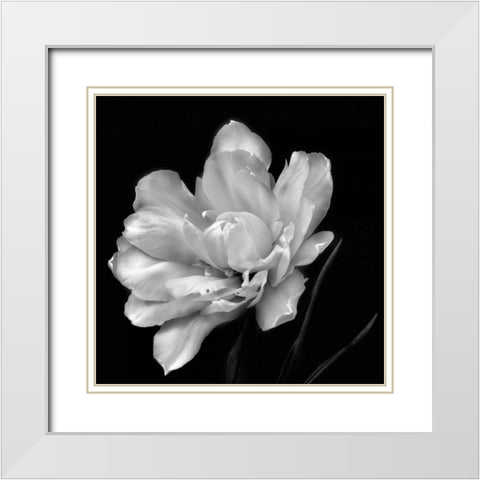 Summers Surprise White Modern Wood Framed Art Print with Double Matting by Britt, Charles