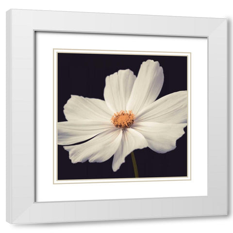 Cosmos II White Modern Wood Framed Art Print with Double Matting by Frank, Assaf