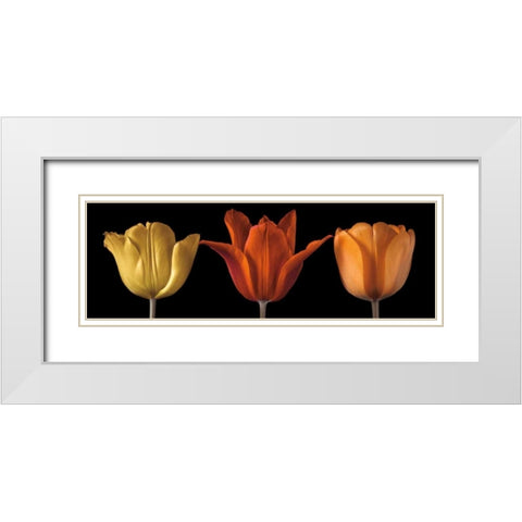 Sunshine Stance White Modern Wood Framed Art Print with Double Matting by Frank, Assaf