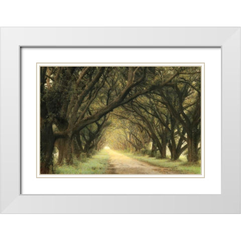 Evergreen Alley White Modern Wood Framed Art Print with Double Matting by Guion, William