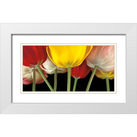 Sunshine Tulips White Modern Wood Framed Art Print with Double Matting by Frank, Assaf