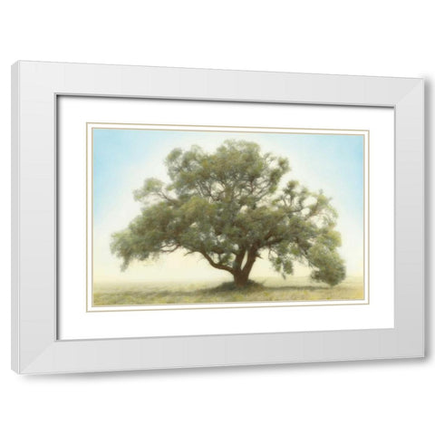 Oak and Blue Sky White Modern Wood Framed Art Print with Double Matting by Guion, William