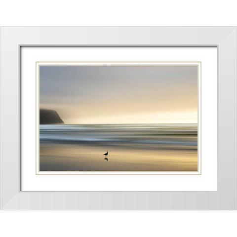 Morning Visit White Modern Wood Framed Art Print with Double Matting by Pelkey, Marvin