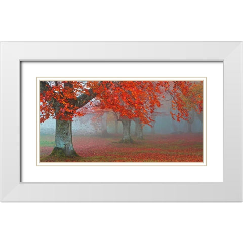arboles Rojos White Modern Wood Framed Art Print with Double Matting by Palacios, Juan Antonio