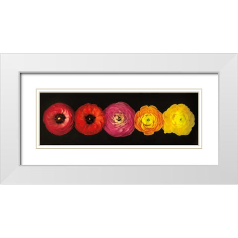 Ranunculus White Modern Wood Framed Art Print with Double Matting by Frank, Assaf