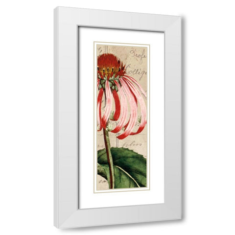 Jardin Botanique I White Modern Wood Framed Art Print with Double Matting by Berg, Sabine