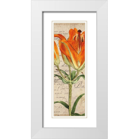 Jardin Botanique II White Modern Wood Framed Art Print with Double Matting by Berg, Sabine