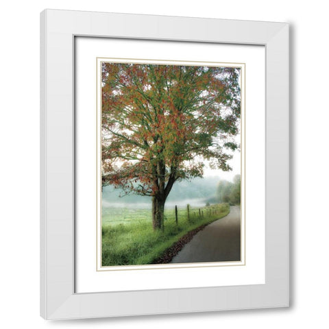 Almost Autumn White Modern Wood Framed Art Print with Double Matting by Burt, D.