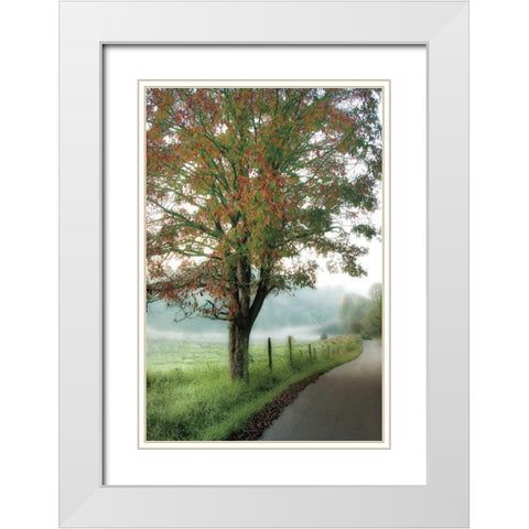 Almost Autumn White Modern Wood Framed Art Print with Double Matting by Burt, D.