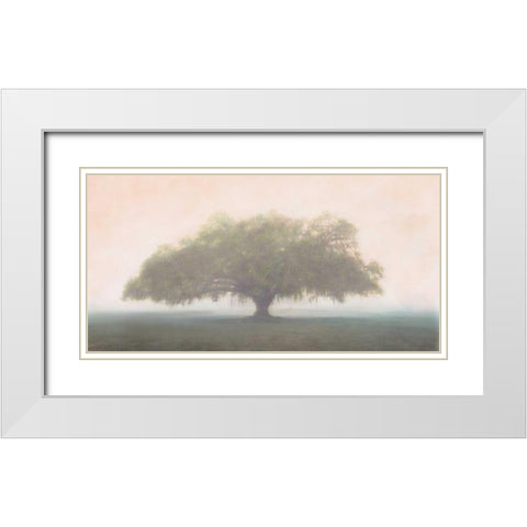 Oak in the Fog White Modern Wood Framed Art Print with Double Matting by Guion, William