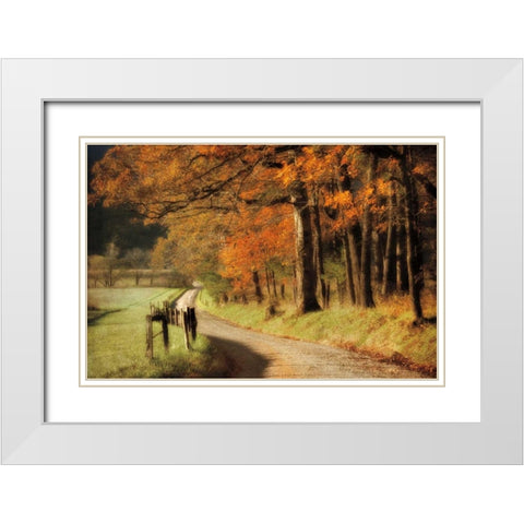 Autumns Morning Light White Modern Wood Framed Art Print with Double Matting by Burt, D.