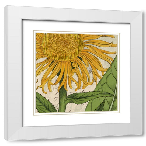 Joyful Bloom I White Modern Wood Framed Art Print with Double Matting by Berg, Sabine