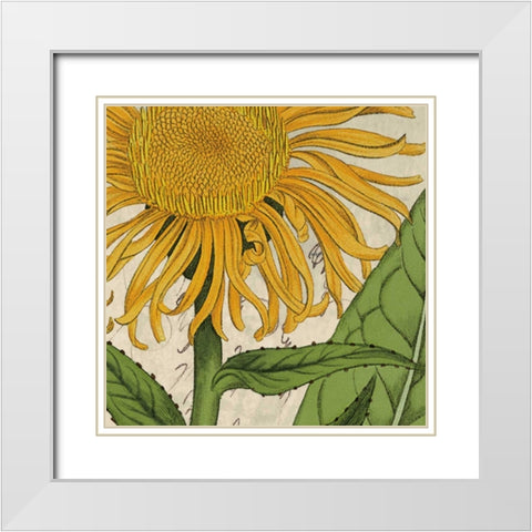 Joyful Bloom I White Modern Wood Framed Art Print with Double Matting by Berg, Sabine