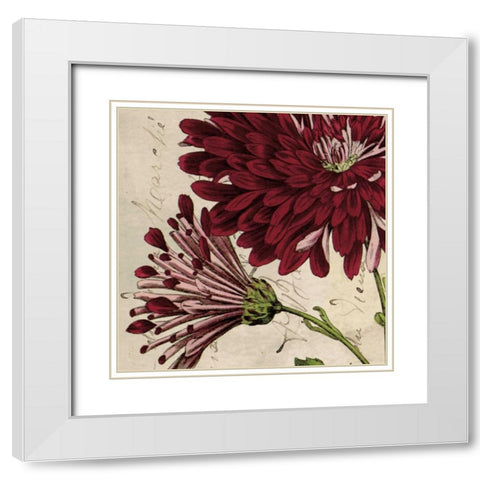 Joyful Bloom II White Modern Wood Framed Art Print with Double Matting by Berg, Sabine