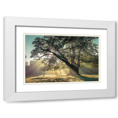 Breaking Through White Modern Wood Framed Art Print with Double Matting by Frank, Assaf