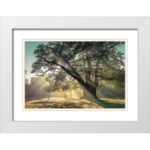 Breaking Through White Modern Wood Framed Art Print with Double Matting by Frank, Assaf
