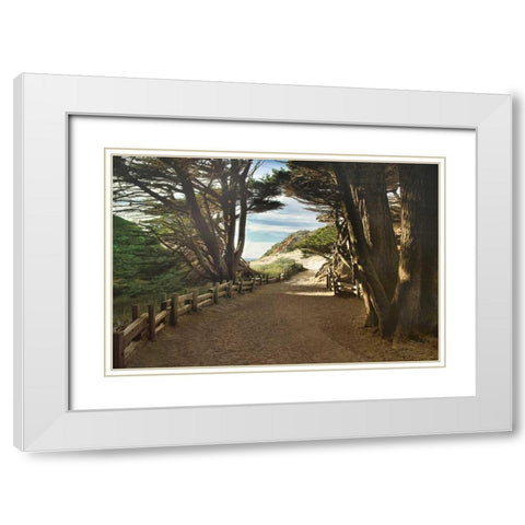 Big Sur White Modern Wood Framed Art Print with Double Matting by Cahill, Michael