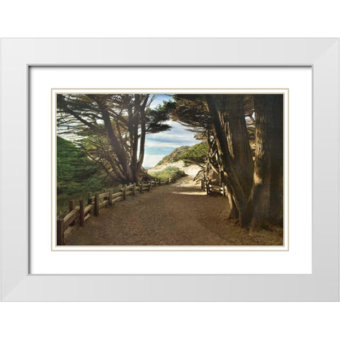 Big Sur White Modern Wood Framed Art Print with Double Matting by Cahill, Michael