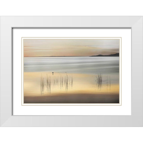 Golden White Modern Wood Framed Art Print with Double Matting by Pelkey, Marvin