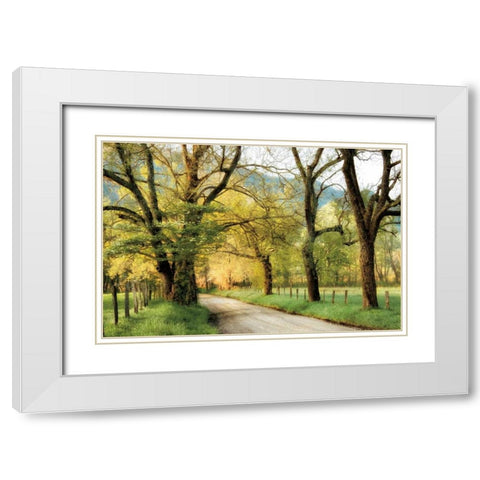 Warm Morning Light White Modern Wood Framed Art Print with Double Matting by Burt, D.