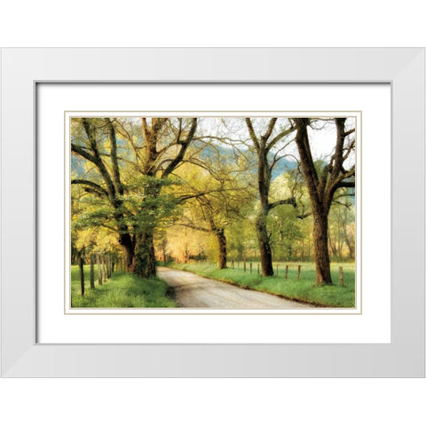 Warm Morning Light White Modern Wood Framed Art Print with Double Matting by Burt, D.