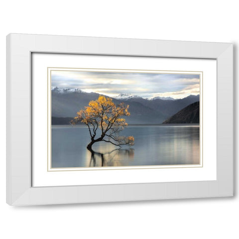 Undisturbed White Modern Wood Framed Art Print with Double Matting by Michael Cahill