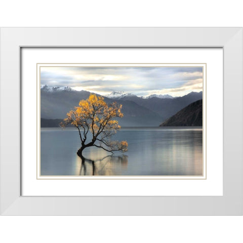 Undisturbed White Modern Wood Framed Art Print with Double Matting by Michael Cahill