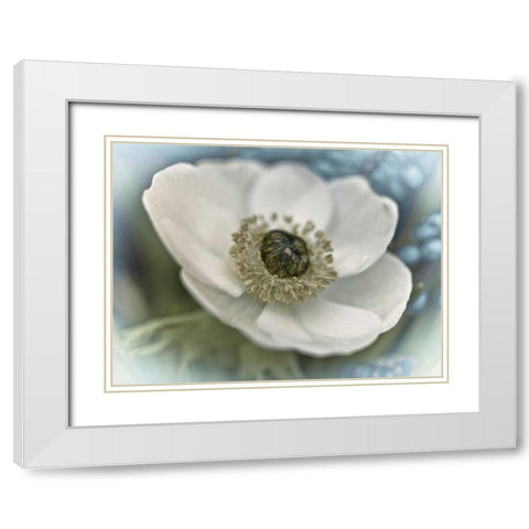 Inspired White Modern Wood Framed Art Print with Double Matting by Frank, Assaf