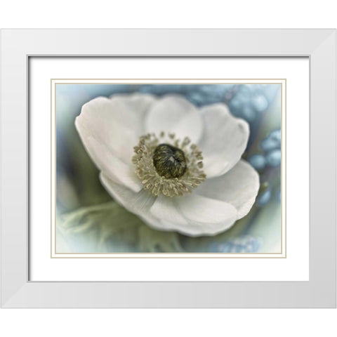 Inspired White Modern Wood Framed Art Print with Double Matting by Frank, Assaf