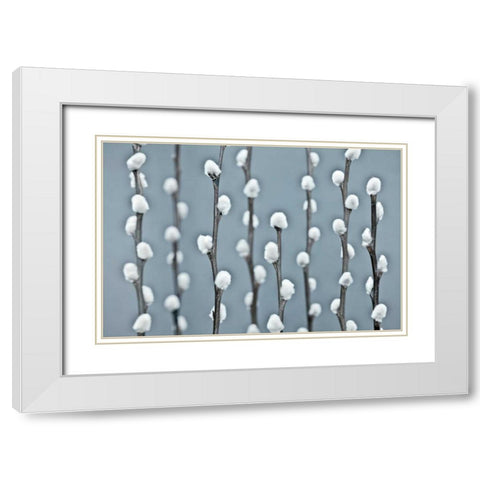 Protected White Modern Wood Framed Art Print with Double Matting by Frank, Assaf