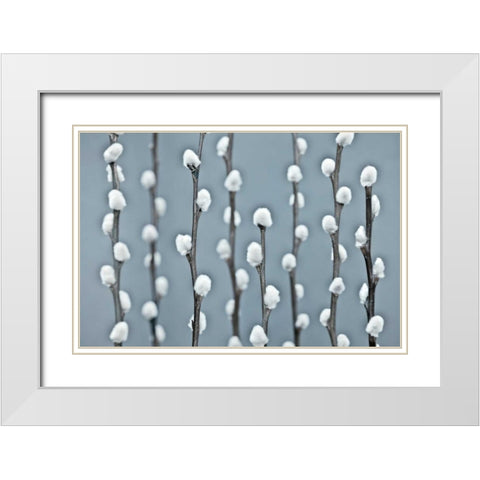Protected White Modern Wood Framed Art Print with Double Matting by Frank, Assaf