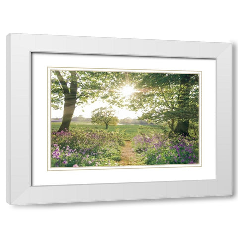 Something Beautiful White Modern Wood Framed Art Print with Double Matting by Frank, Assaf