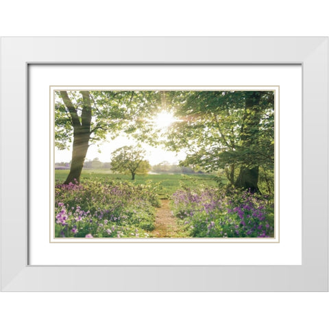 Something Beautiful White Modern Wood Framed Art Print with Double Matting by Frank, Assaf