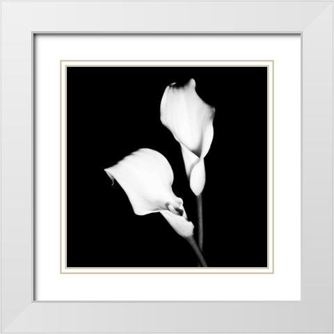 Calla Portrait I White Modern Wood Framed Art Print with Double Matting by Maihara, Jeff