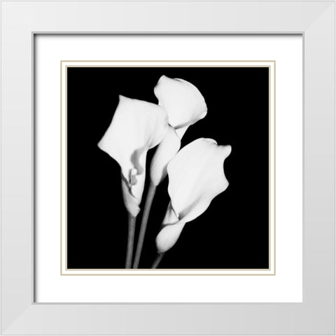 Calla Portrait II White Modern Wood Framed Art Print with Double Matting by Maihara, Jeff